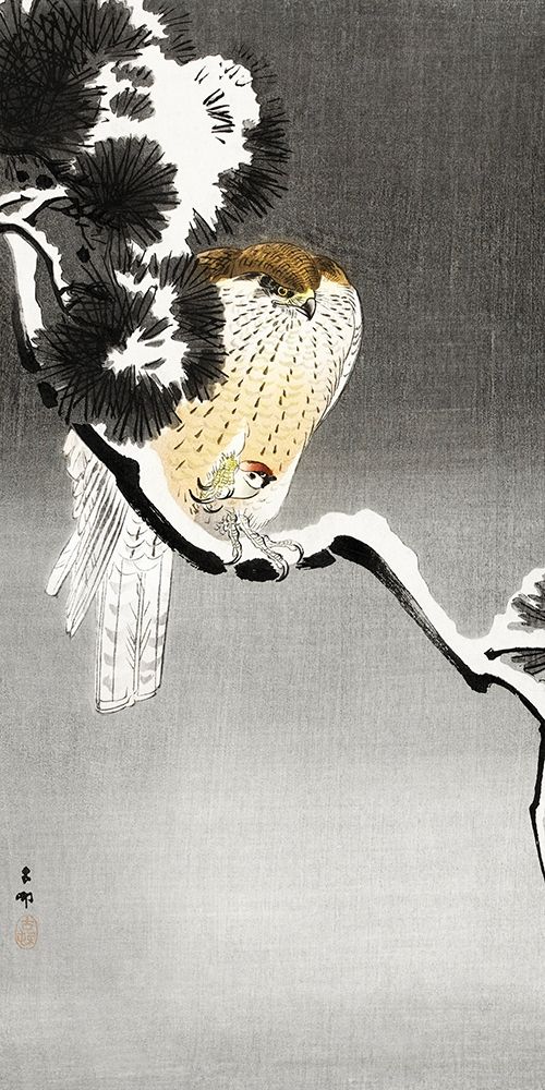 Hawk with sparrow art print by Ohara Koson for $57.95 CAD