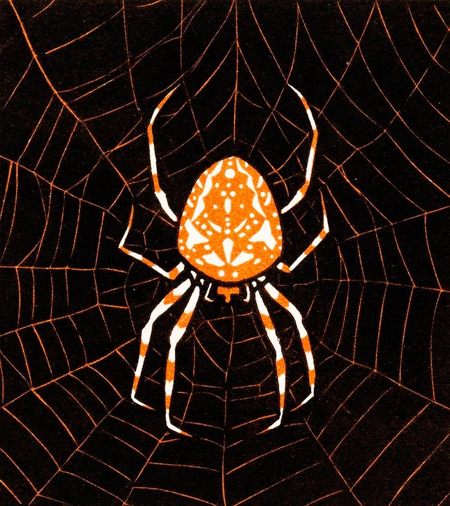 Spider in a web art print by Julie De Graag for $57.95 CAD
