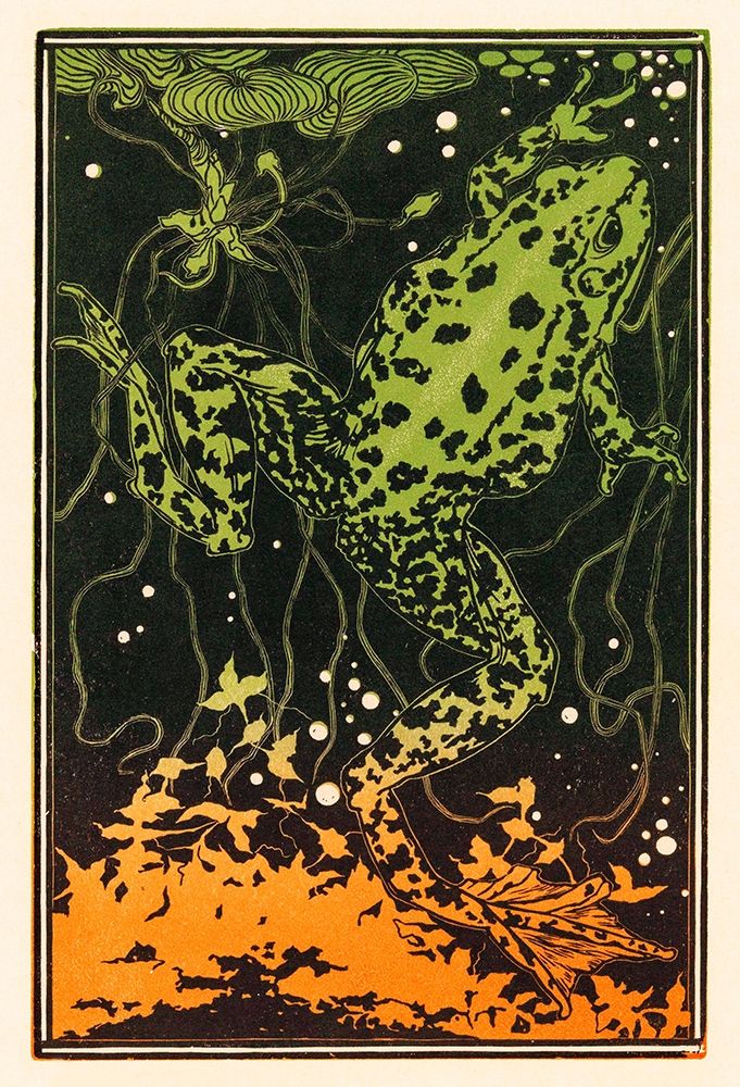 Swimming frog art print by Julie De Graag for $57.95 CAD