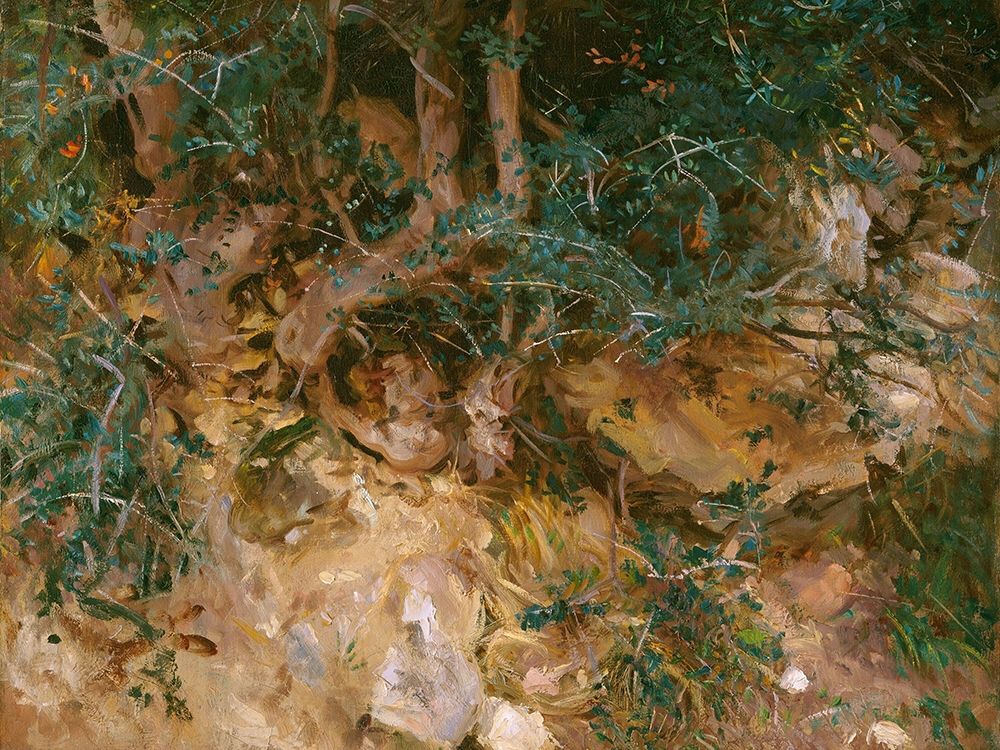 Valdemosa, Majorca: Thistles and Herbage on a Hillside art print by John Singer Sargent for $57.95 CAD