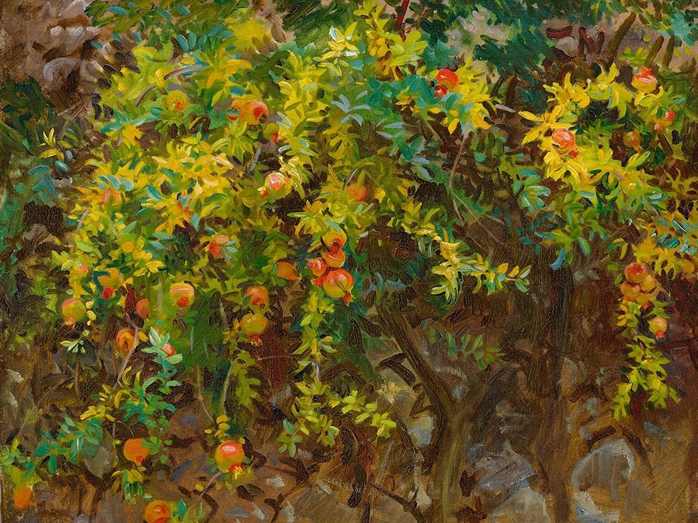 Pomegrantes, Majorca, 1908 art print by John Singer Sargent for $57.95 CAD
