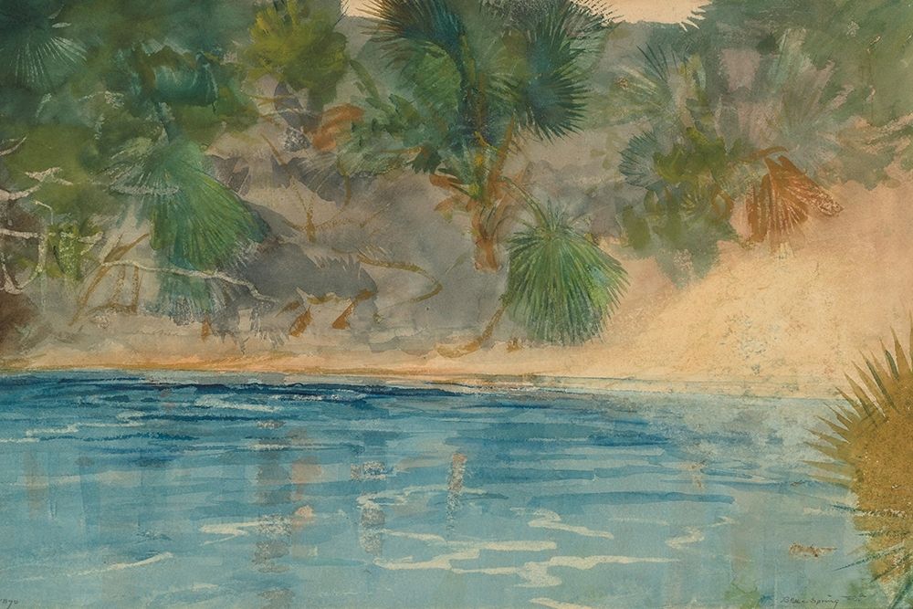 Blue Spring, Florida art print by Winslow Homer for $57.95 CAD