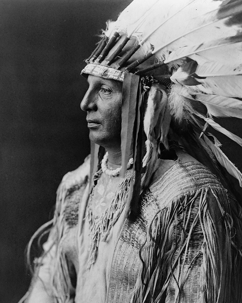 White Shield, Arikara art print by Edward Curtis for $57.95 CAD