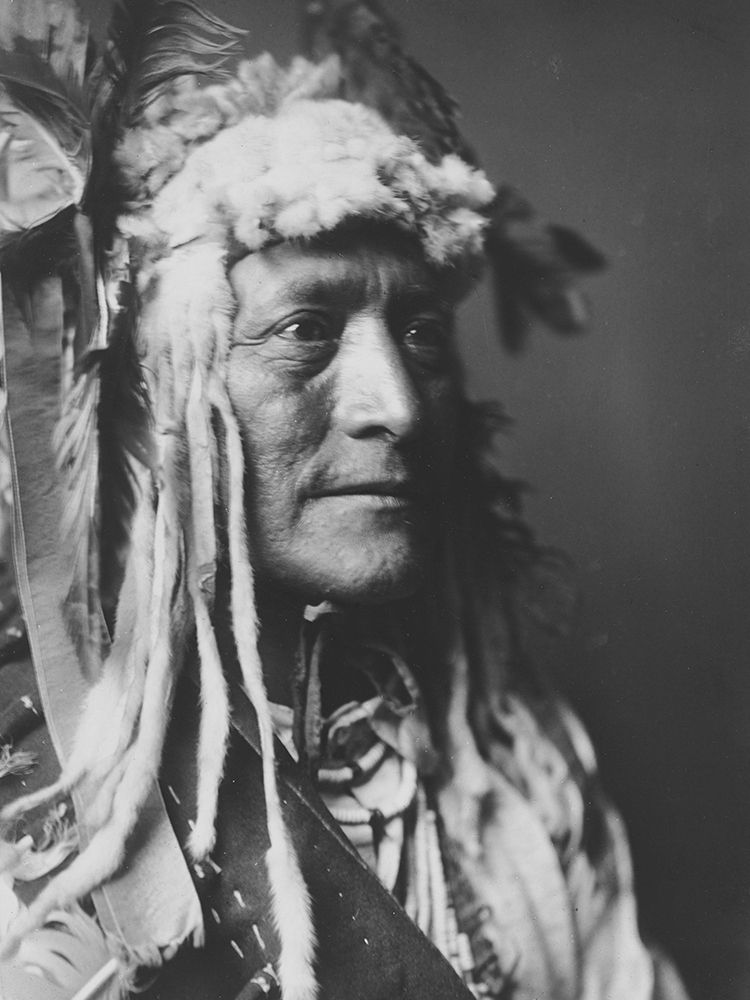 White Duck art print by Edward Curtis for $57.95 CAD