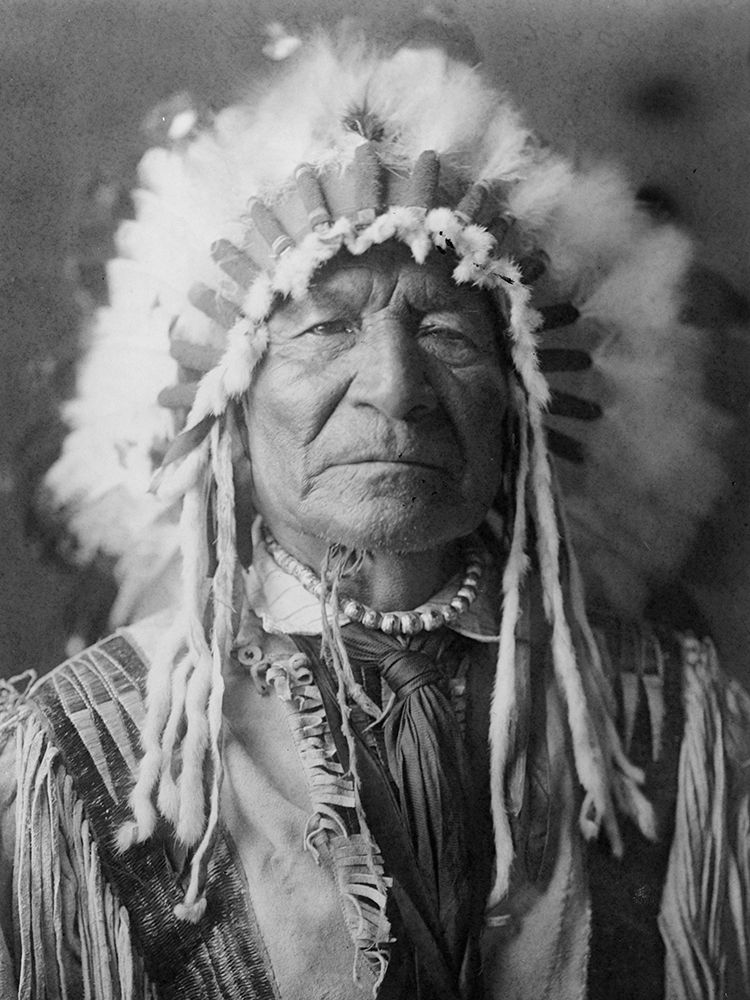 Sitting Bear, Arikara art print by Edward Curtis for $57.95 CAD