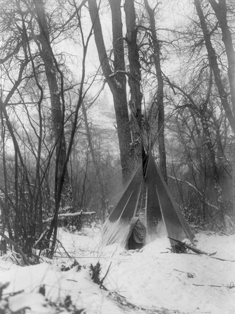 In the forest art print by Edward Curtis for $57.95 CAD