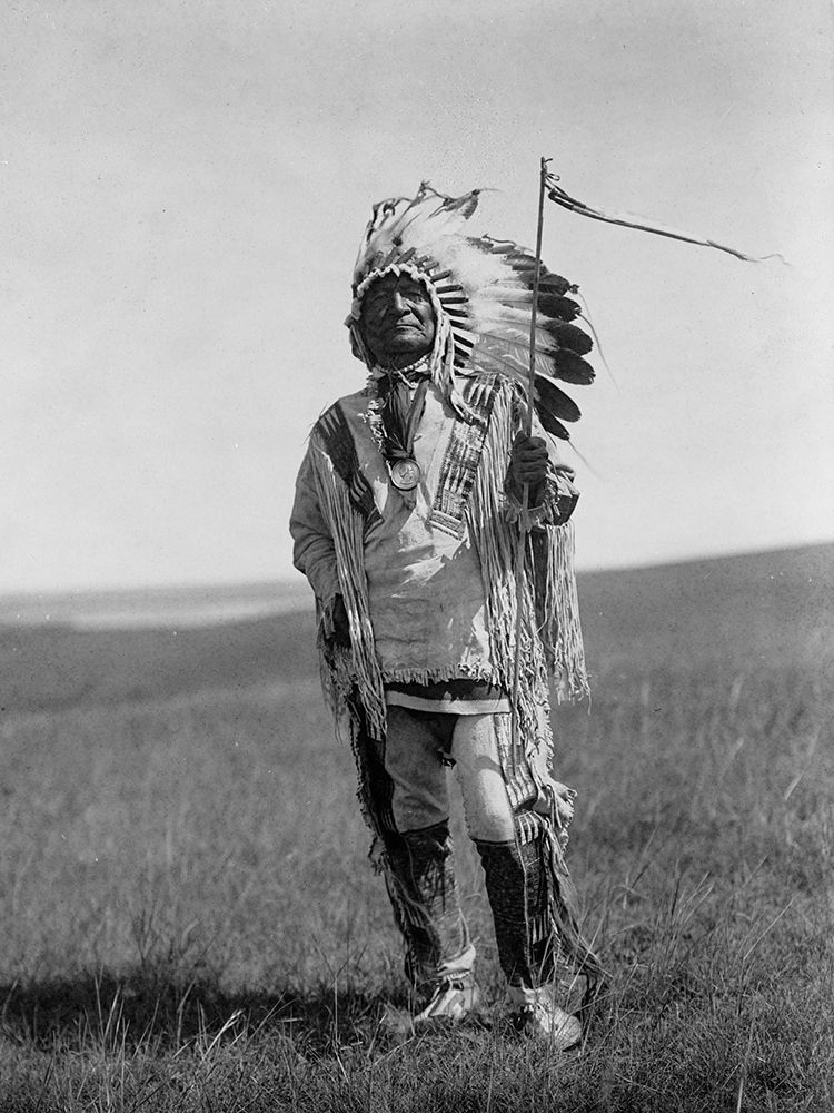 Arikara chief art print by Edward Curtis for $57.95 CAD