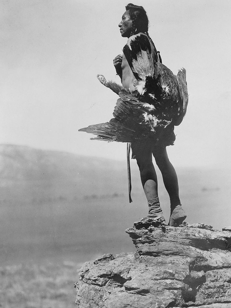 The eagle catcher art print by Edward Curtis for $57.95 CAD