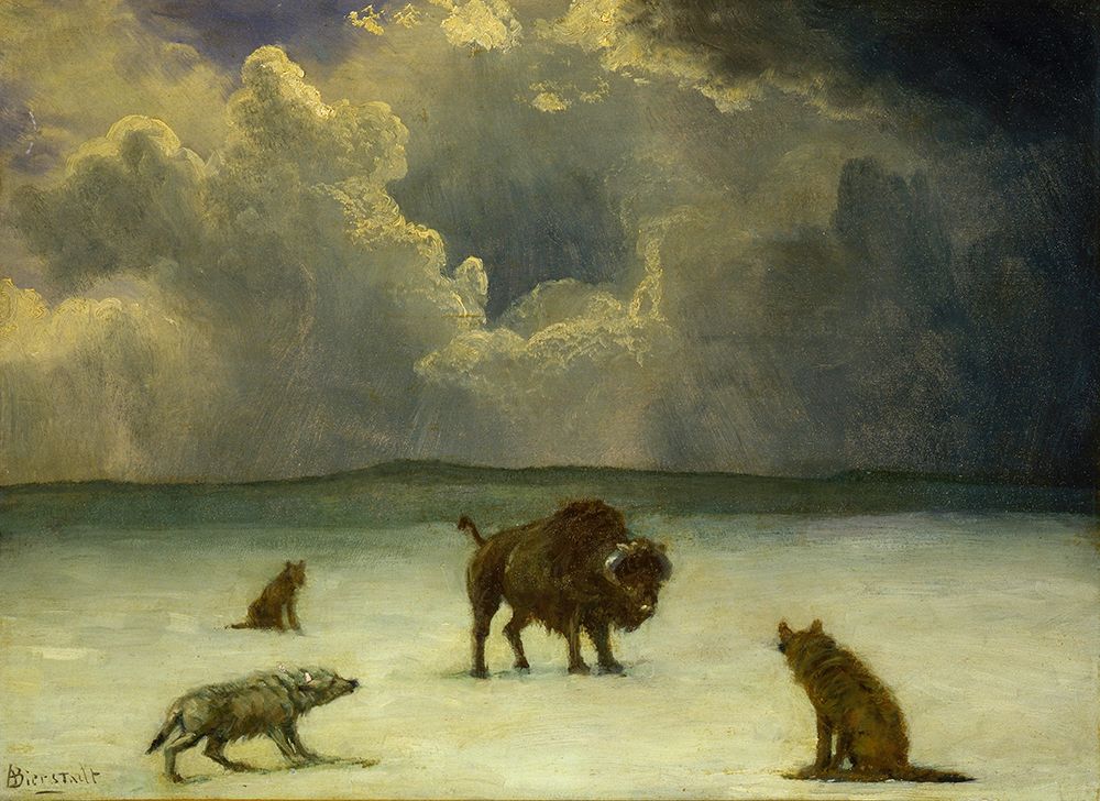 Trapped art print by Albert Bierstadt for $57.95 CAD
