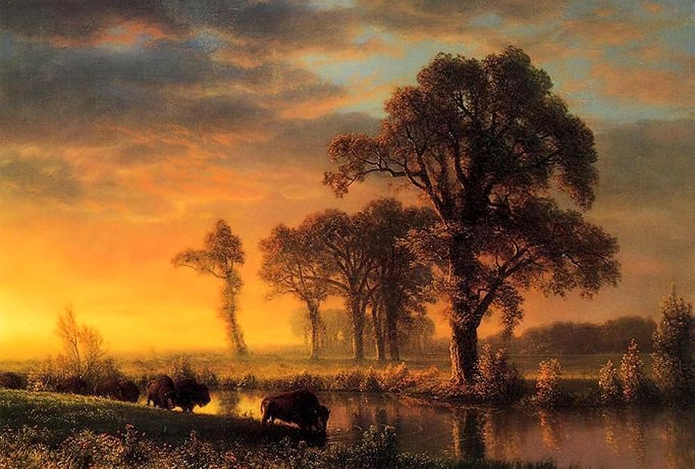 Western Kansas art print by Albert Bierstadt for $57.95 CAD
