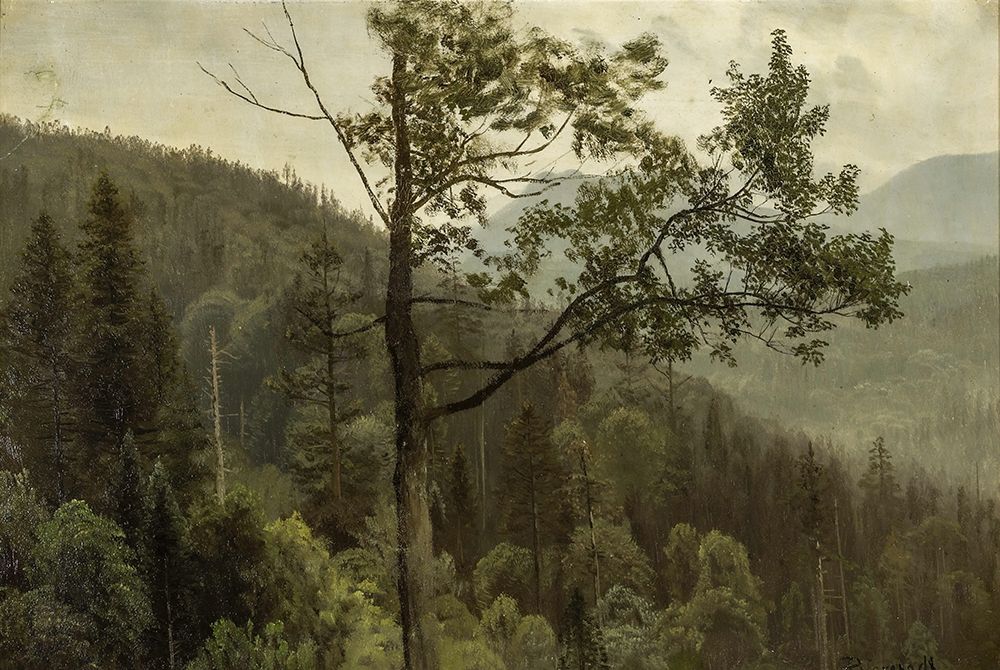 Tree covered mountains art print by Albert Bierstadt for $57.95 CAD
