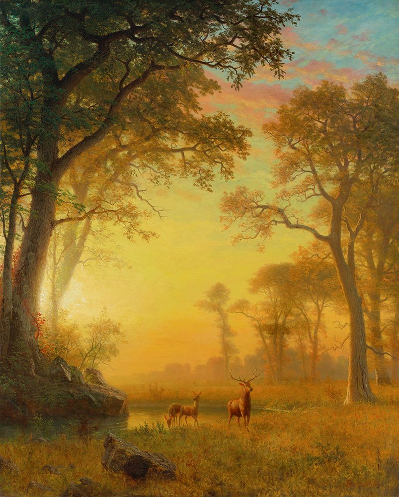Light in the Forest art print by Albert Bierstadt for $57.95 CAD