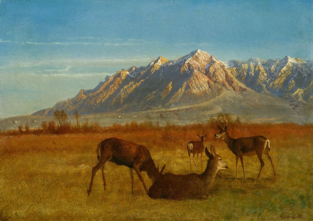 Deer in Mountain Home 1879 art print by Albert Bierstadt for $57.95 CAD