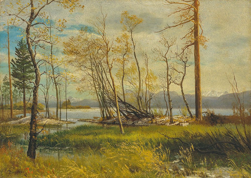 Lake Tahoe 1872 art print by Albert Bierstadt for $57.95 CAD