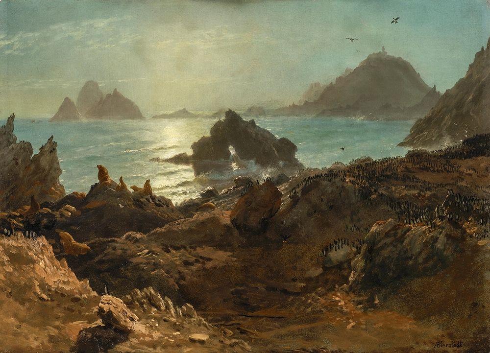 Farallon Islands, Pacific Ocean, California art print by Albert Bierstadt for $57.95 CAD