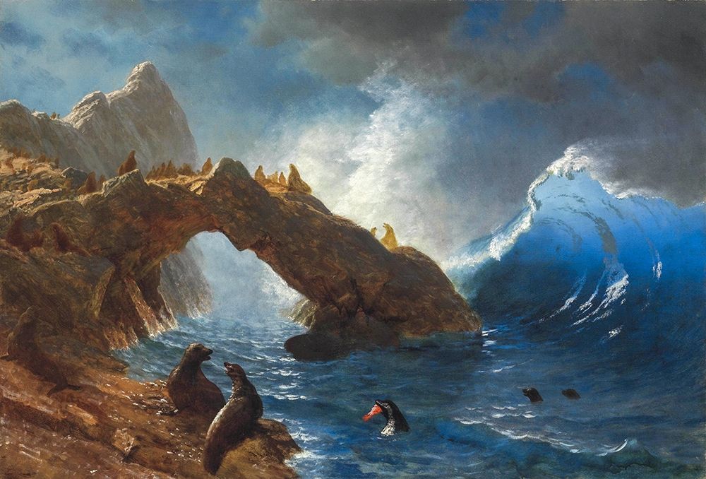 Seals on the Rocks art print by Albert Bierstadt for $57.95 CAD