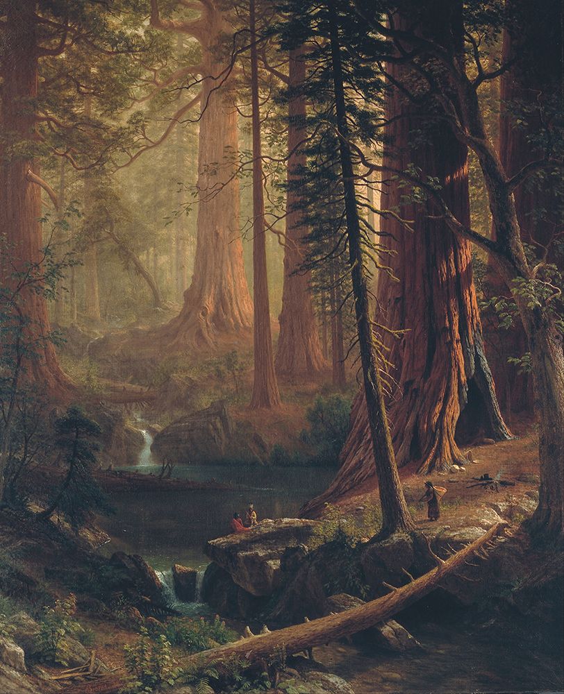 Giant Redwood Trees of California 1874 art print by Albert Bierstadt for $57.95 CAD