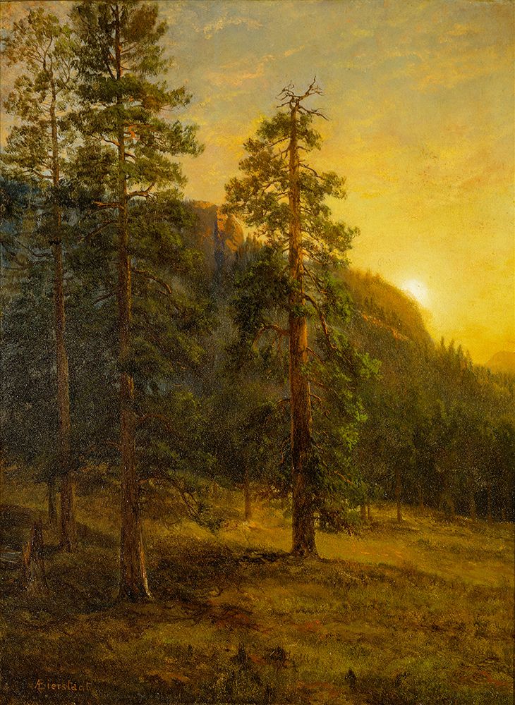 California Redwoods 1872 art print by Albert Bierstadt for $57.95 CAD