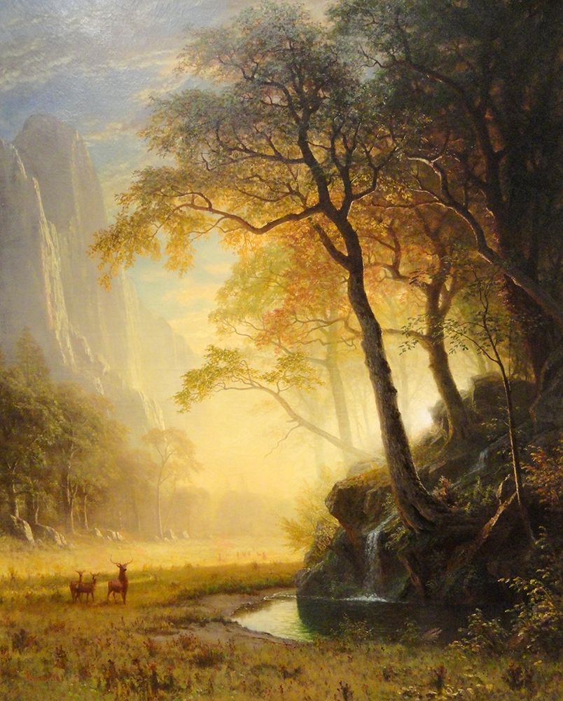 Hetch Hetchy Canyon art print by Albert Bierstadt for $57.95 CAD