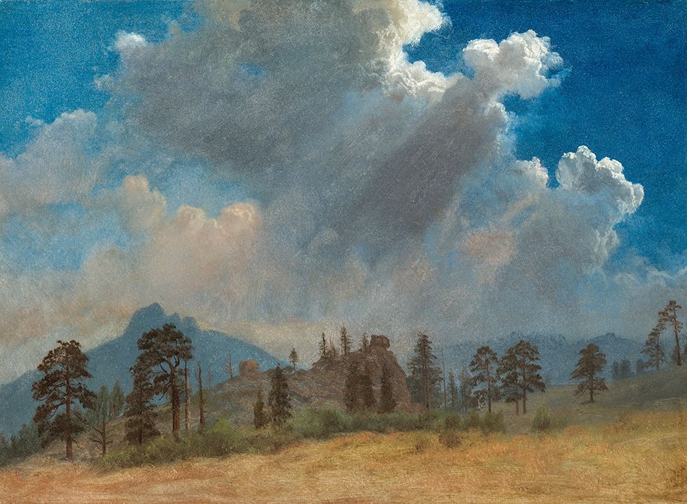 Fir Trees and Storm Clouds 1870 art print by Albert Bierstadt for $57.95 CAD