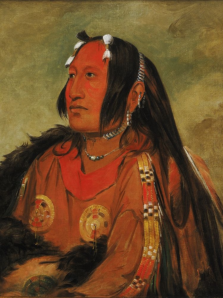 Pigeons Egg Head art print by George Catlin for $57.95 CAD