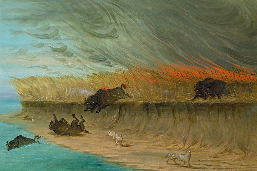 Prairie Meadows Burning art print by George Catlin for $57.95 CAD
