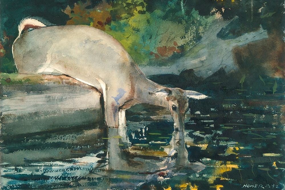 Deer Drinking art print by Winslow Homer for $57.95 CAD