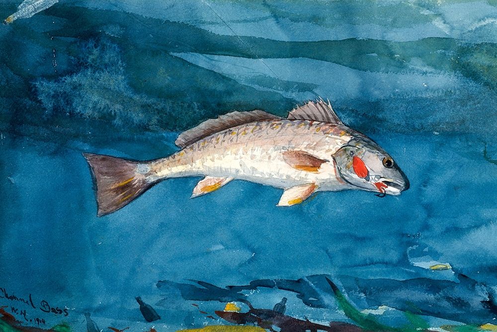 Channel Bass art print by Winslow Homer for $57.95 CAD