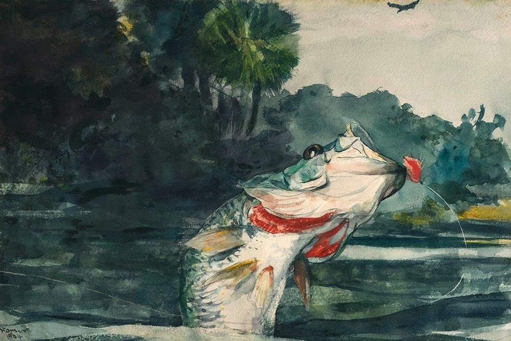 Life-Size Black Bass art print by Winslow Homer for $57.95 CAD
