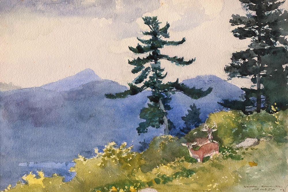 North Woods Club, Adirondacks art print by Winslow Homer for $57.95 CAD