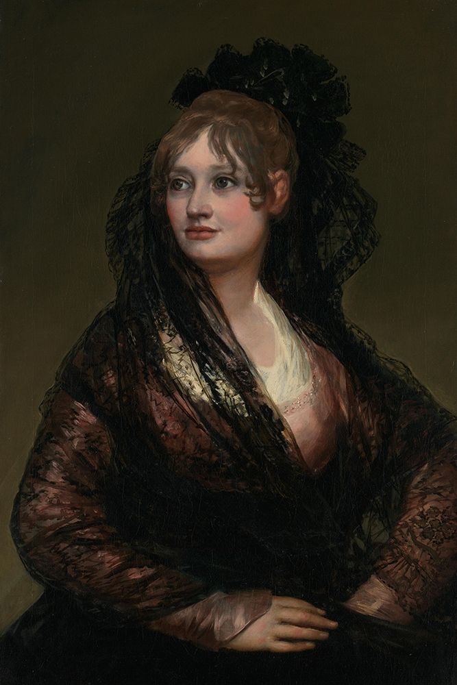 Portrait of Dona Isabel de Porcel art print by Francisco Goya for $57.95 CAD