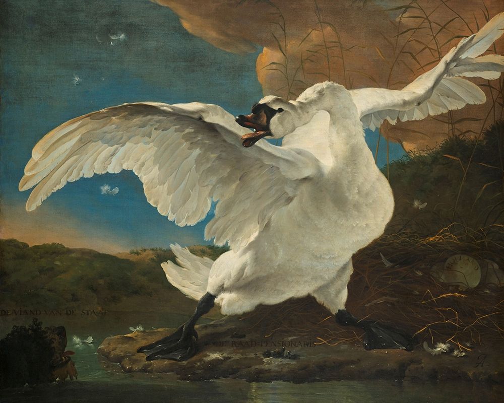 The Threatened Swan art print by Jan Asselijn for $57.95 CAD