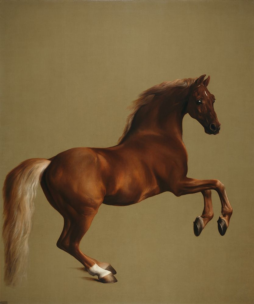Whistlejacket art print by George Stubbs for $57.95 CAD