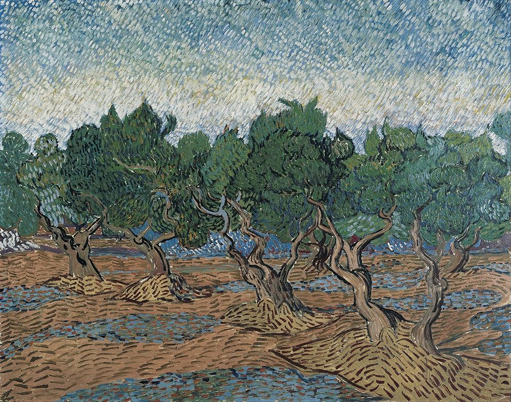 Olive grove art print by Vincent van Gogh for $57.95 CAD