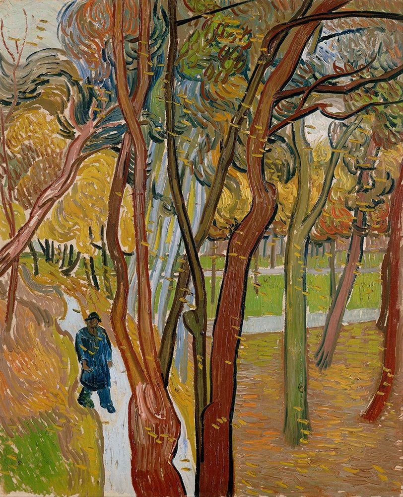 The garden of Saint Pauls Hospital art print by Vincent van Gogh for $57.95 CAD