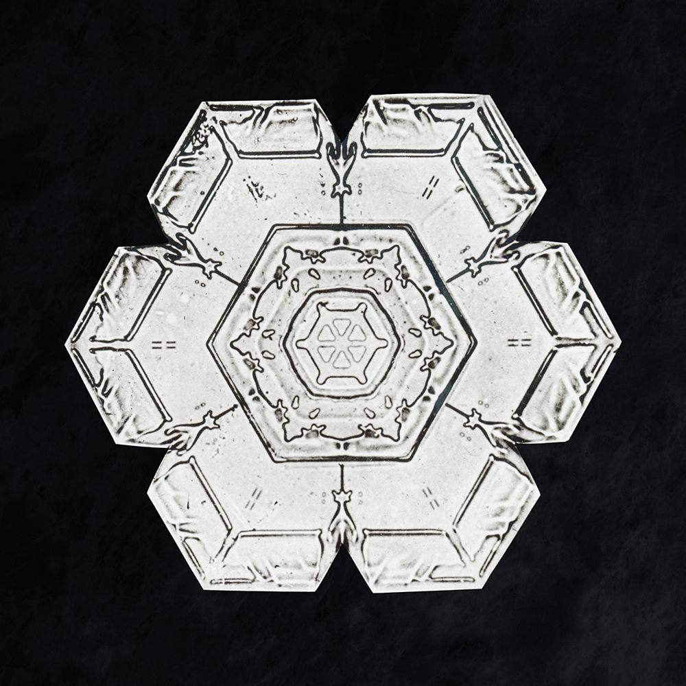 Snowflake 562 art print by Wilson Bentley for $57.95 CAD