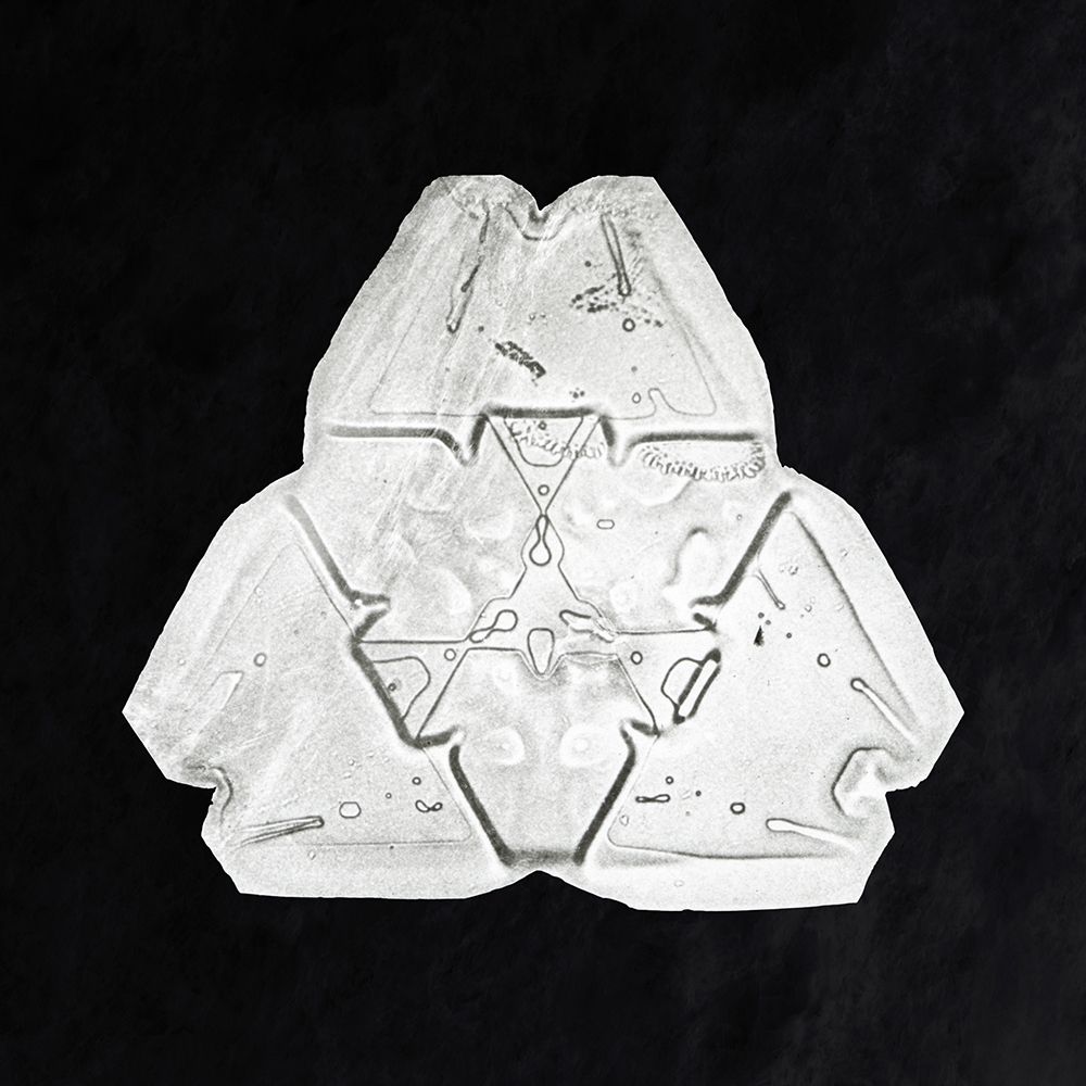 Snowflake 482 art print by Wilson Bentley for $57.95 CAD