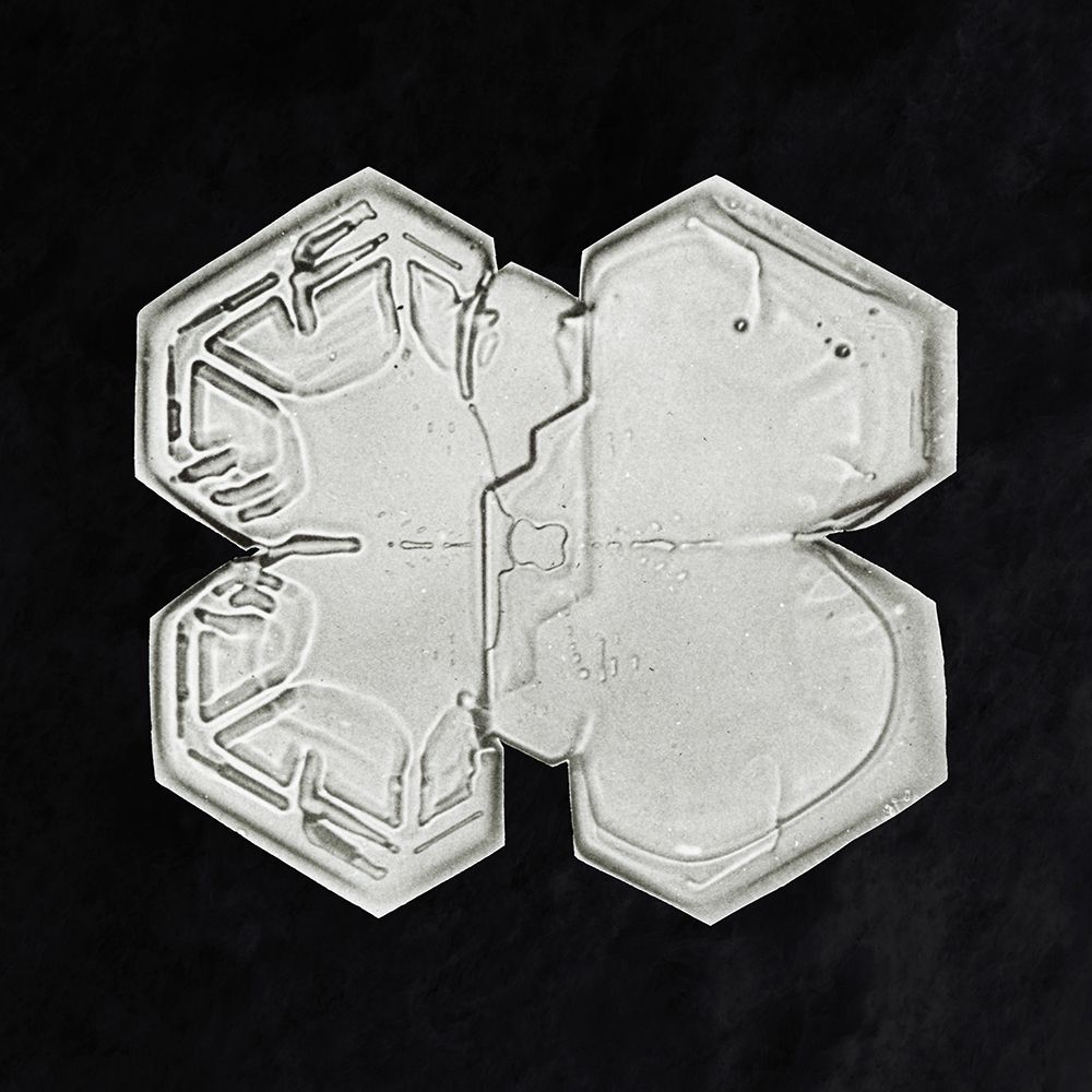 Snowflake 1225 art print by Wilson Bentley for $57.95 CAD