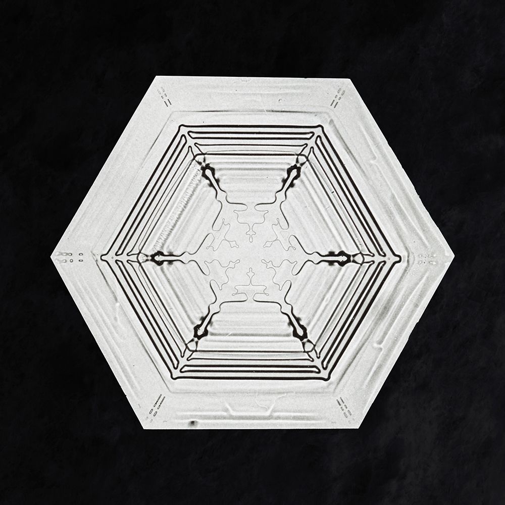Snowflake 234 art print by Wilson Bentley for $57.95 CAD