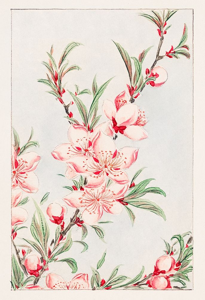 Peach tree branches with leaves and blossoms art print by Megata Morikaga for $57.95 CAD