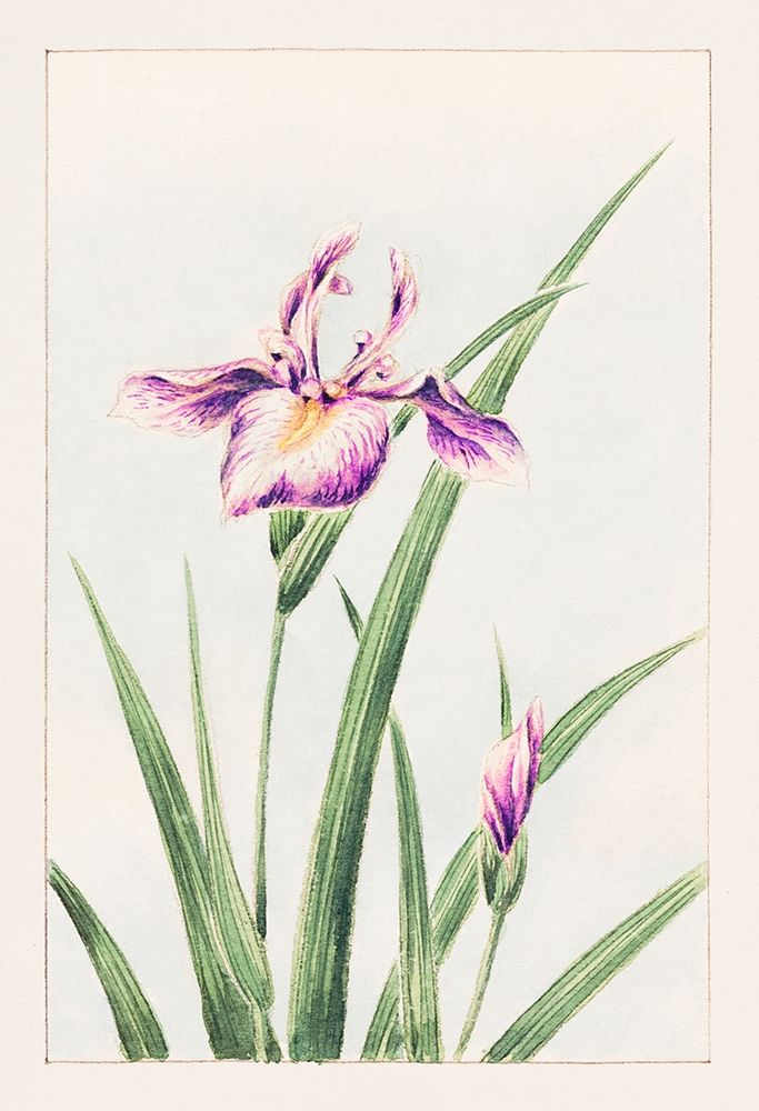 Hana strobel art print by Megata Morikaga for $57.95 CAD