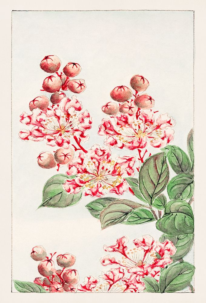 Sarusubi blossoms art print by Megata Morikaga for $57.95 CAD