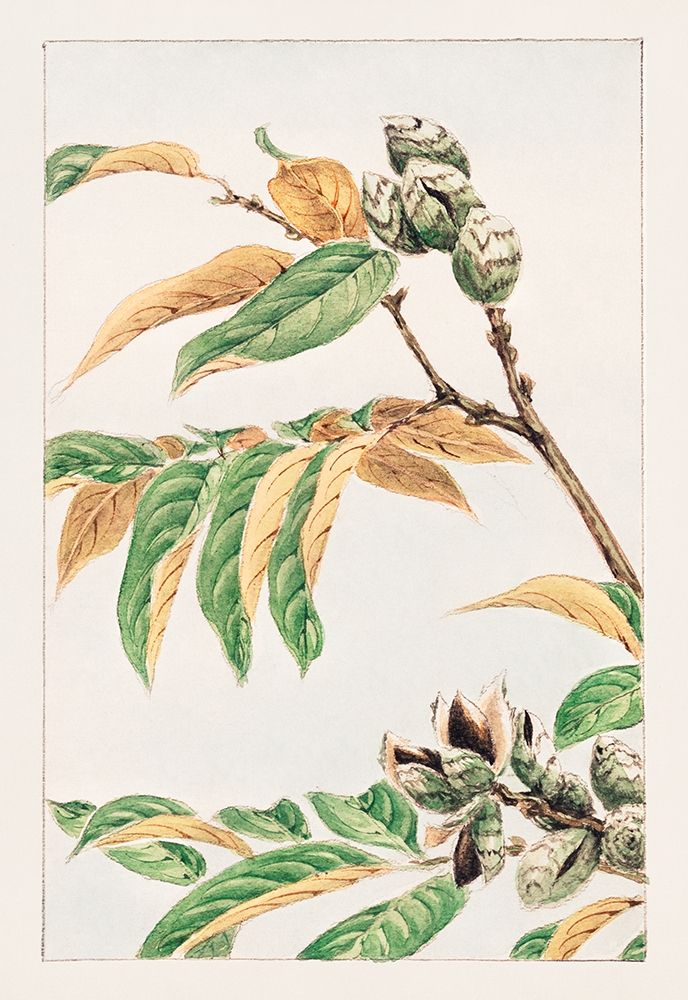 Shi art print by Megata Morikaga for $57.95 CAD