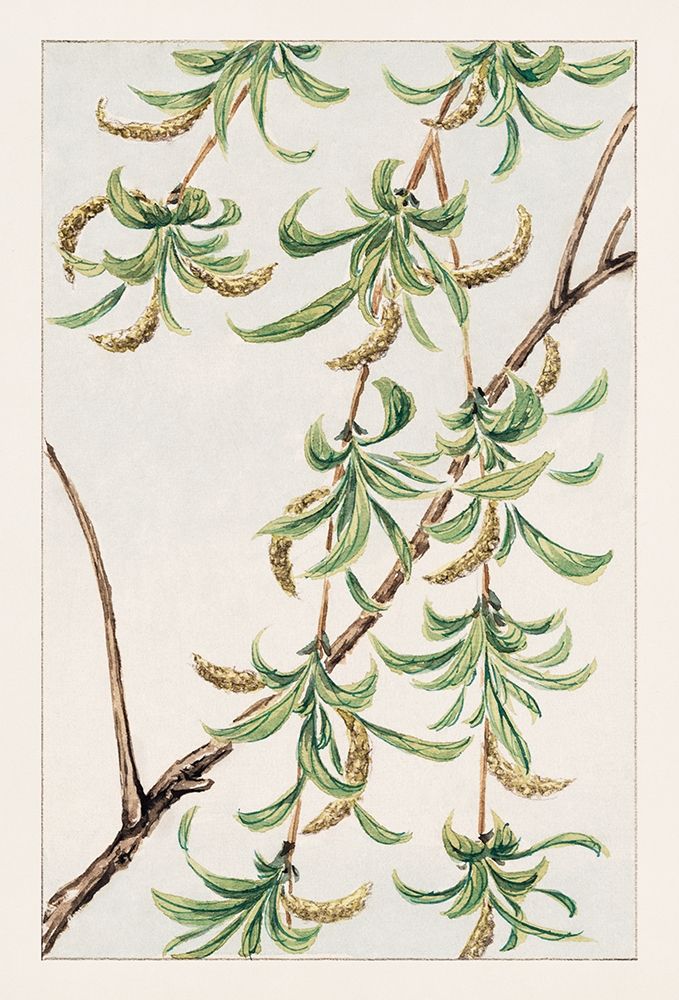 Yanagi or willow art print by Megata Morikaga for $57.95 CAD