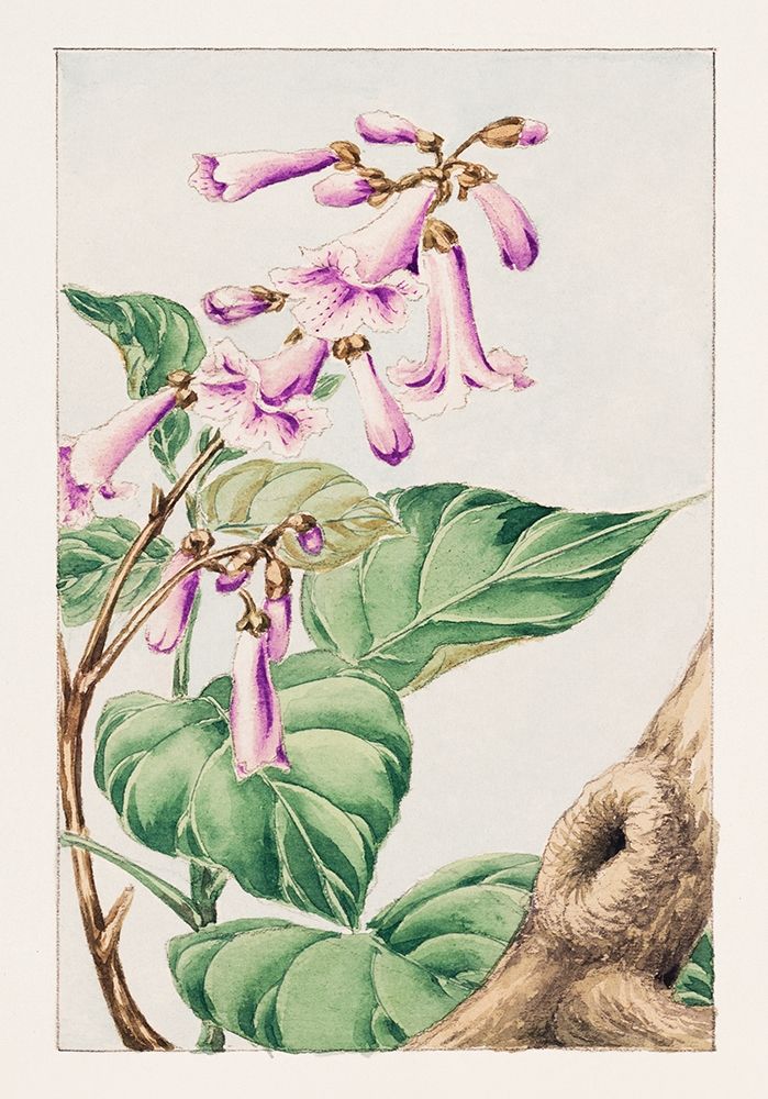 Kiri branch with flowers and leaves art print by Megata Morikaga for $57.95 CAD