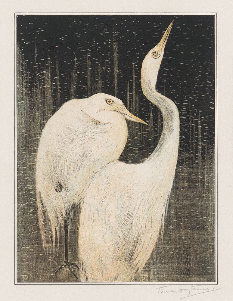 Two egrets art print by Theo van Hoytema for $57.95 CAD