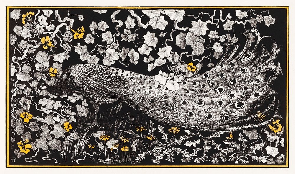 Peacock art print by Theo van Hoytema for $57.95 CAD