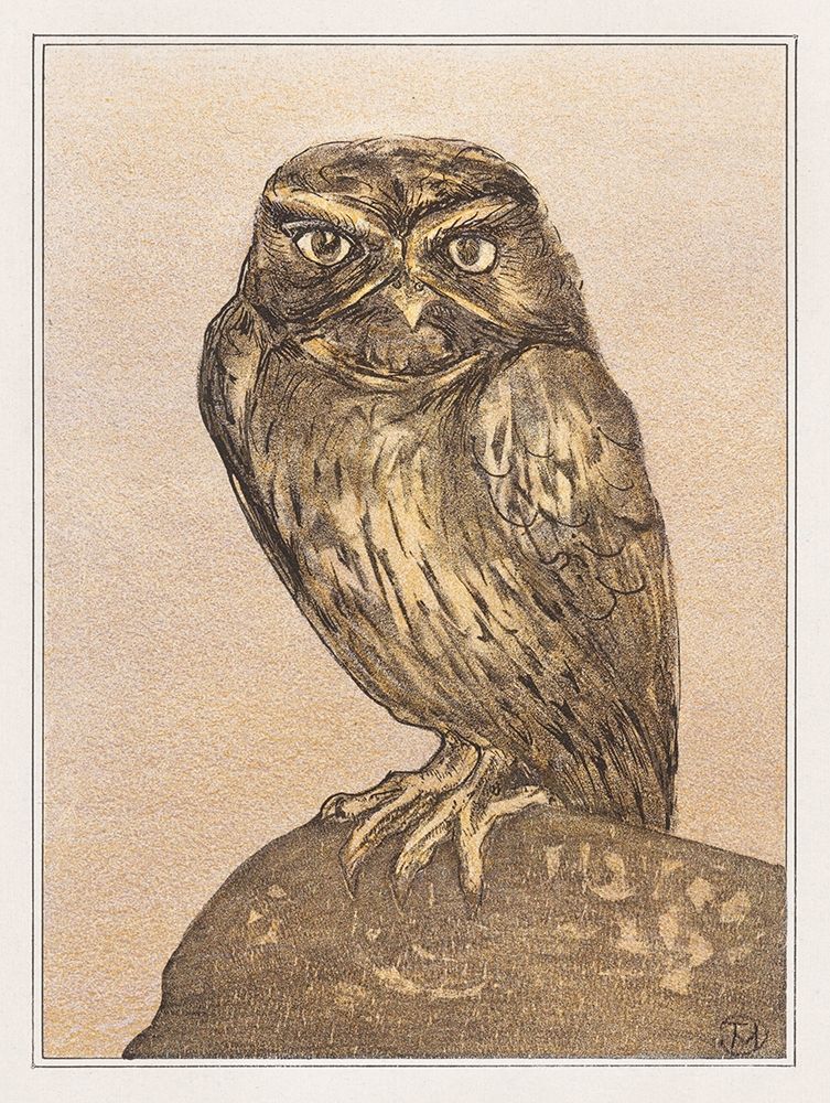 Little owl on rock art print by Theo van Hoytema for $57.95 CAD