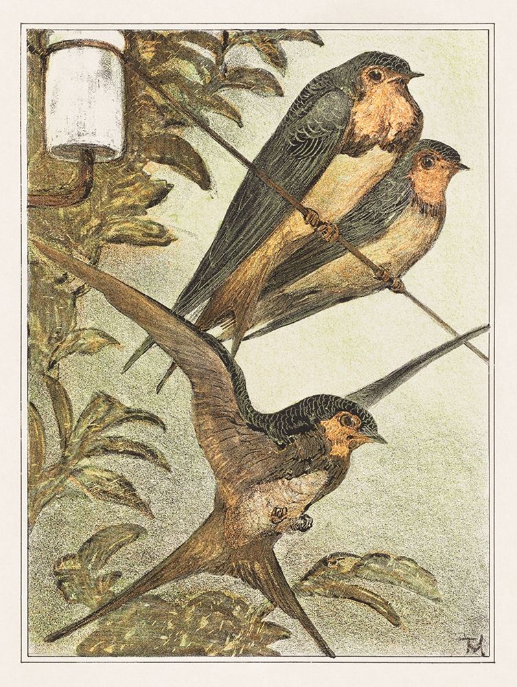 Three swallows art print by Theo van Hoytema for $57.95 CAD