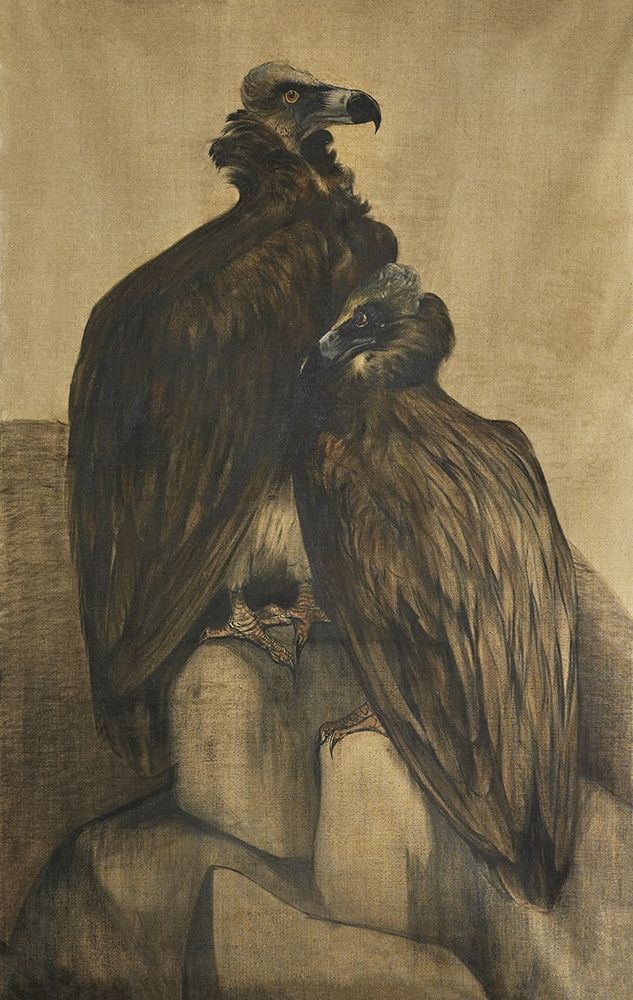 Two Arabian Vultures art print by Theo van Hoytema for $57.95 CAD